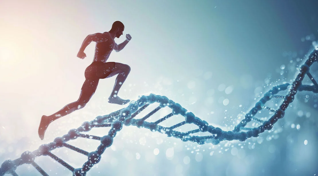 New Research Reveals Exercise's Impact on Immune Cell Function and Genetic Activity