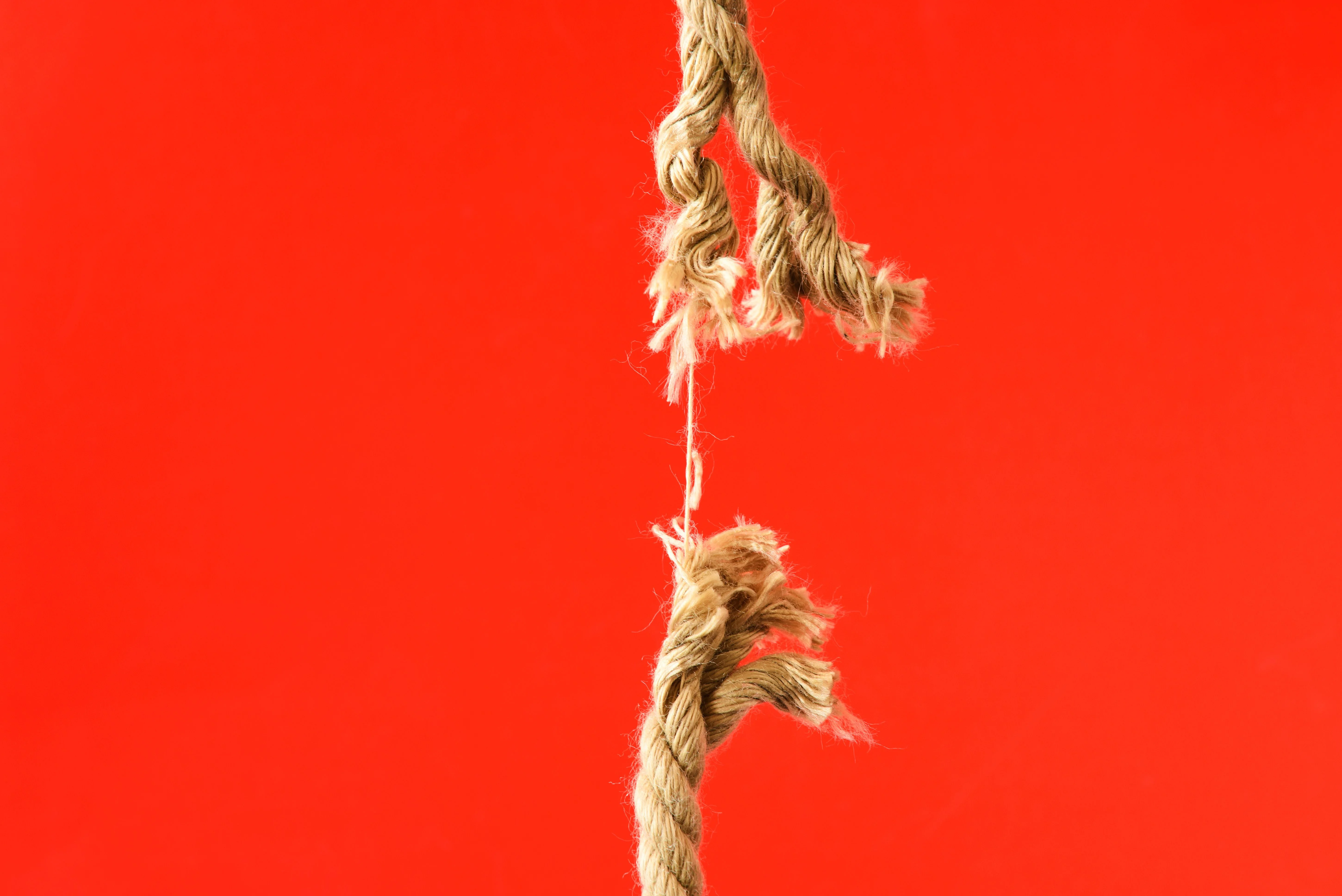 Navigating the Complexities of Surrogacy: A Journey Through Grief and Renewal