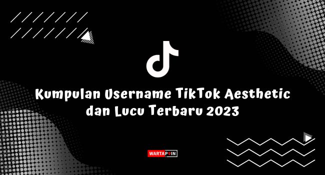 Kumpulan Username TikTok Aesthetic dan Lucu Terbaru 2023