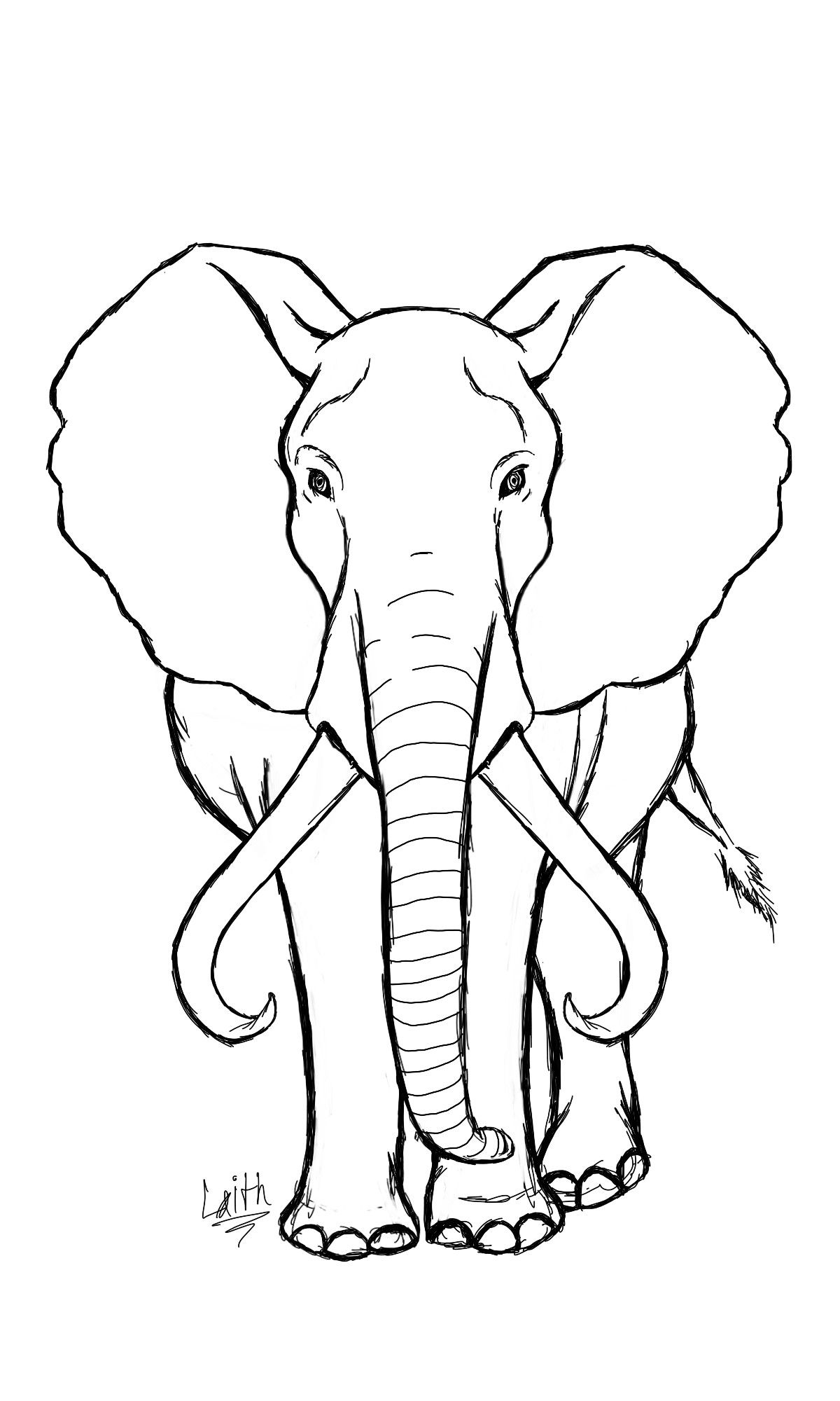 Contoh Gambar Sketsa Gajah