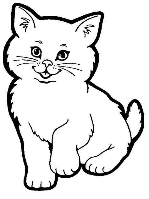 Gambar Sketsa Kucing
