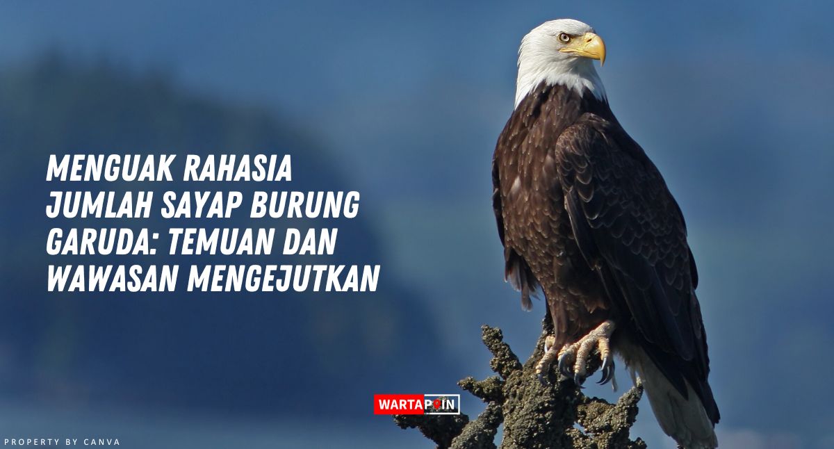 Pembahasan Lengkap Mengenai Jumlah Sayap Burung Garuda