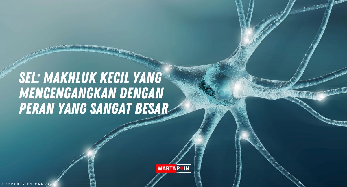 Apa itu yang Dimaksud dengan Sel? Berikut Penjelasannya