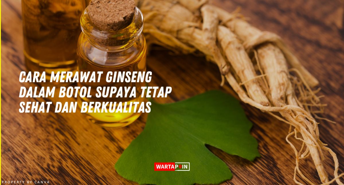 Cara Merawat Ginseng dalam Botol Supaya Tetap Sehat dan Berkualitas