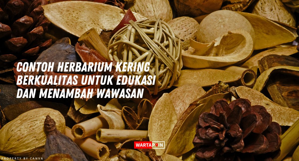 Contoh Herbarium Kering Berkualitas untuk Edukasi dan Menambah Wawasan