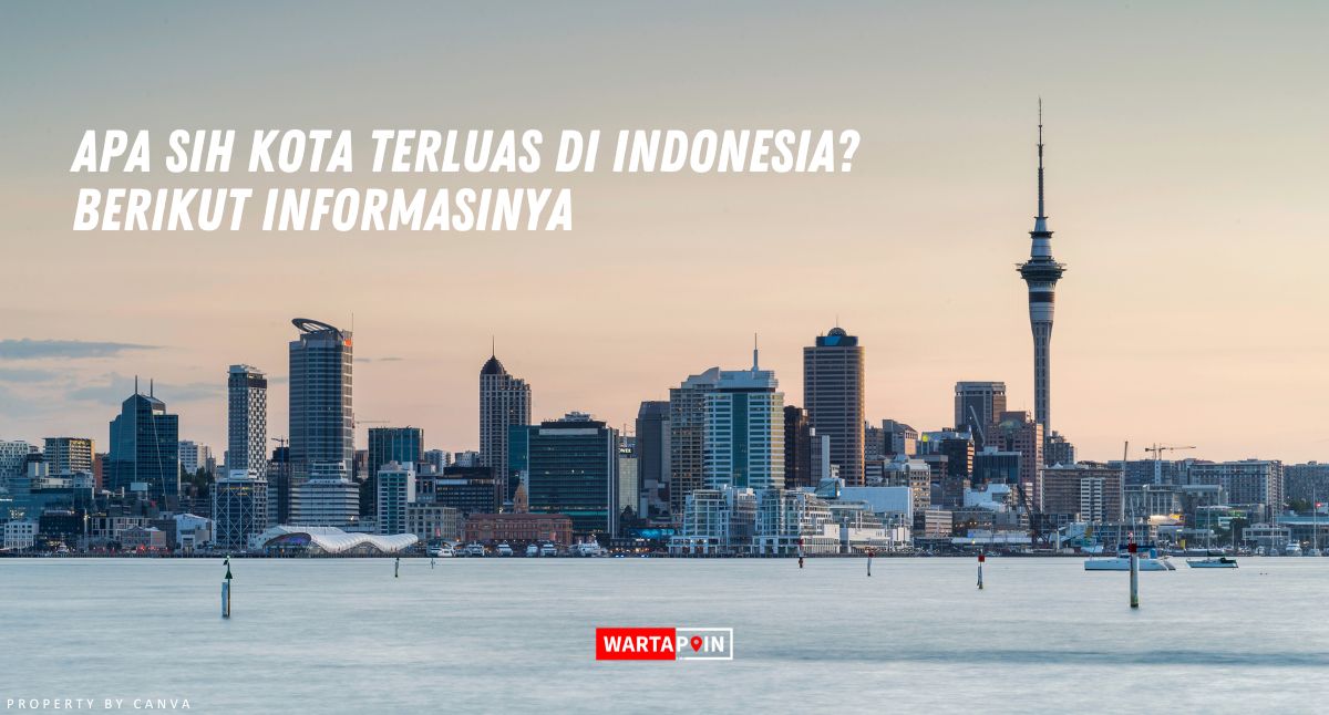 Apa sih Kota Terluas di Indonesia? Berikut Informasinya