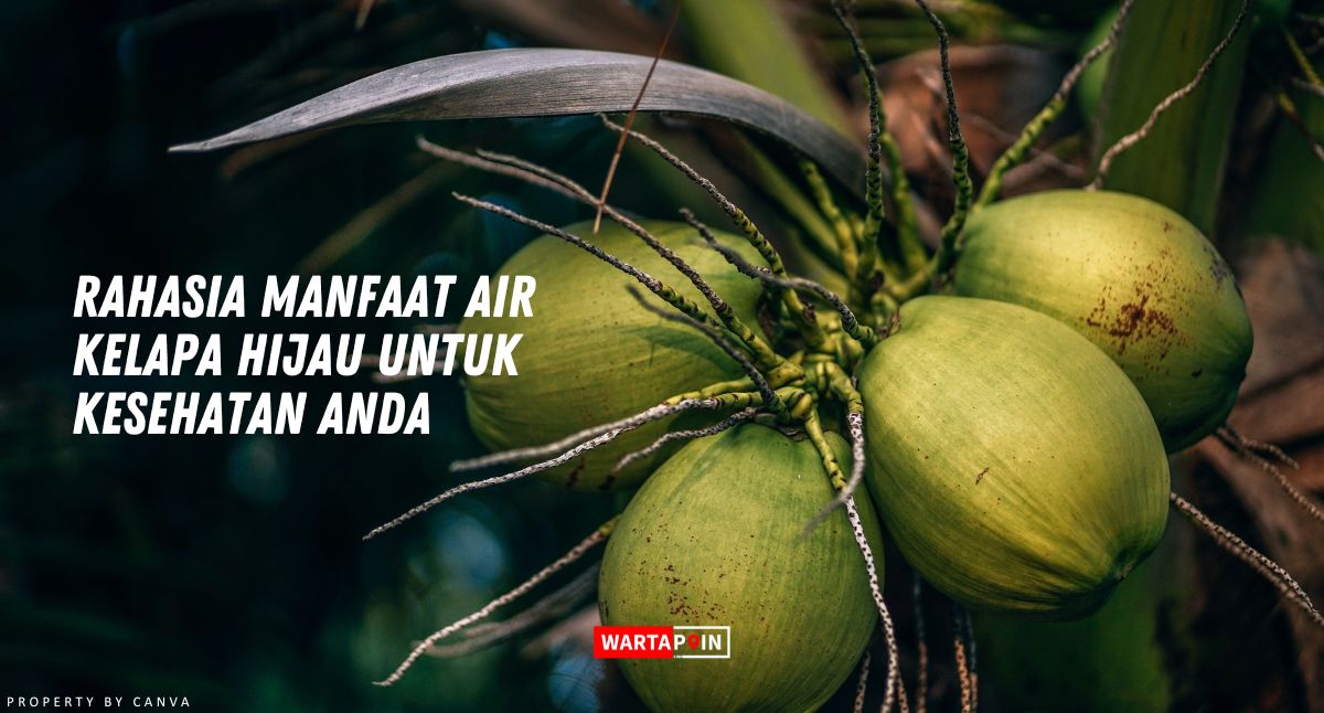 Rahasia Manfaat Air Kelapa Hijau untuk Kesehatan Anda