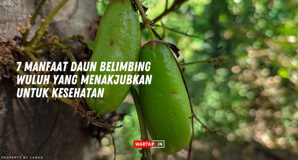 7 Manfaat Daun Belimbing Wuluh Yang Menakjubkan Untuk Kesehatan