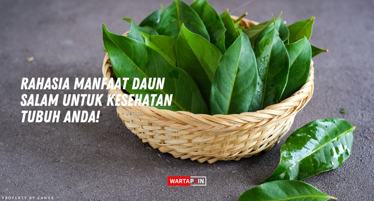 Rahasia Manfaat Daun Salam Untuk Kesehatan Tubuh Anda!