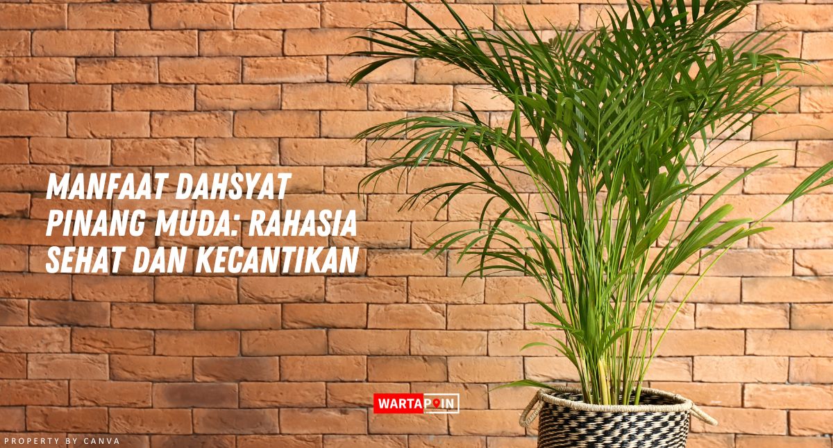 Manfaat Dahsyat Pinang Muda: Rahasia Sehat dan Kecantikan