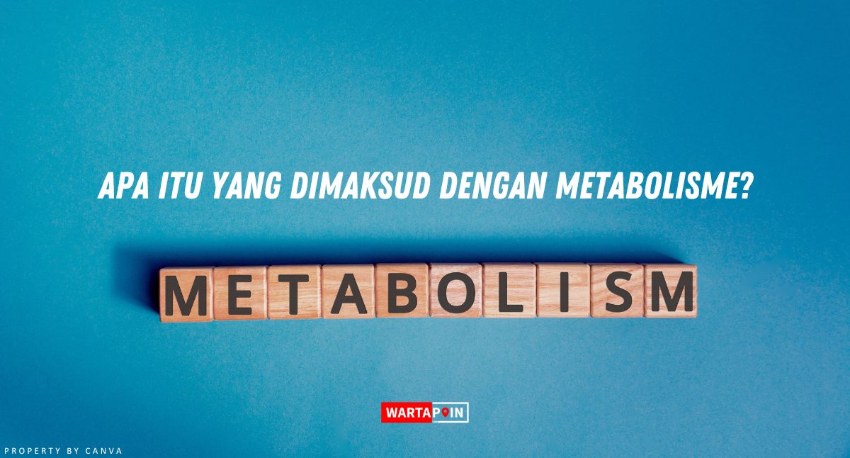 Apa itu yang Dimaksud dengan Metabolisme?