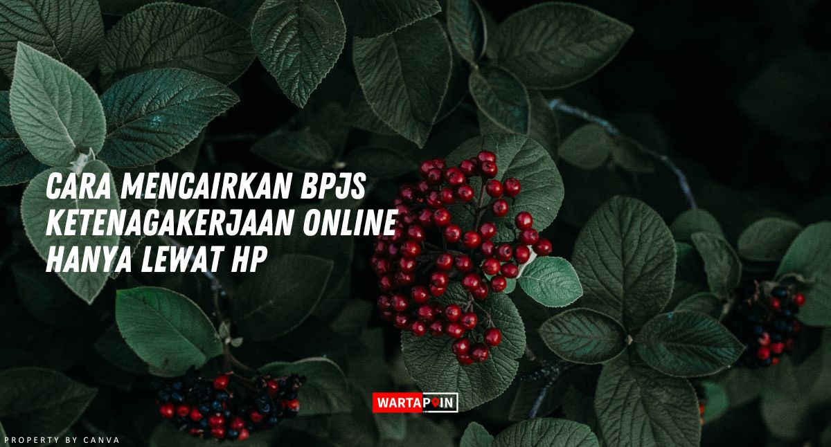 Cara Mencairkan BPJS Ketenagakerjaan Online Lewat HP