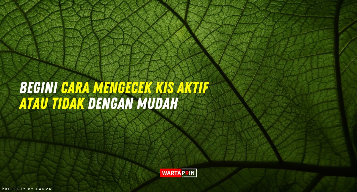 Begini Cara Mengecek KIS Aktif atau Tidak dengan Mudah