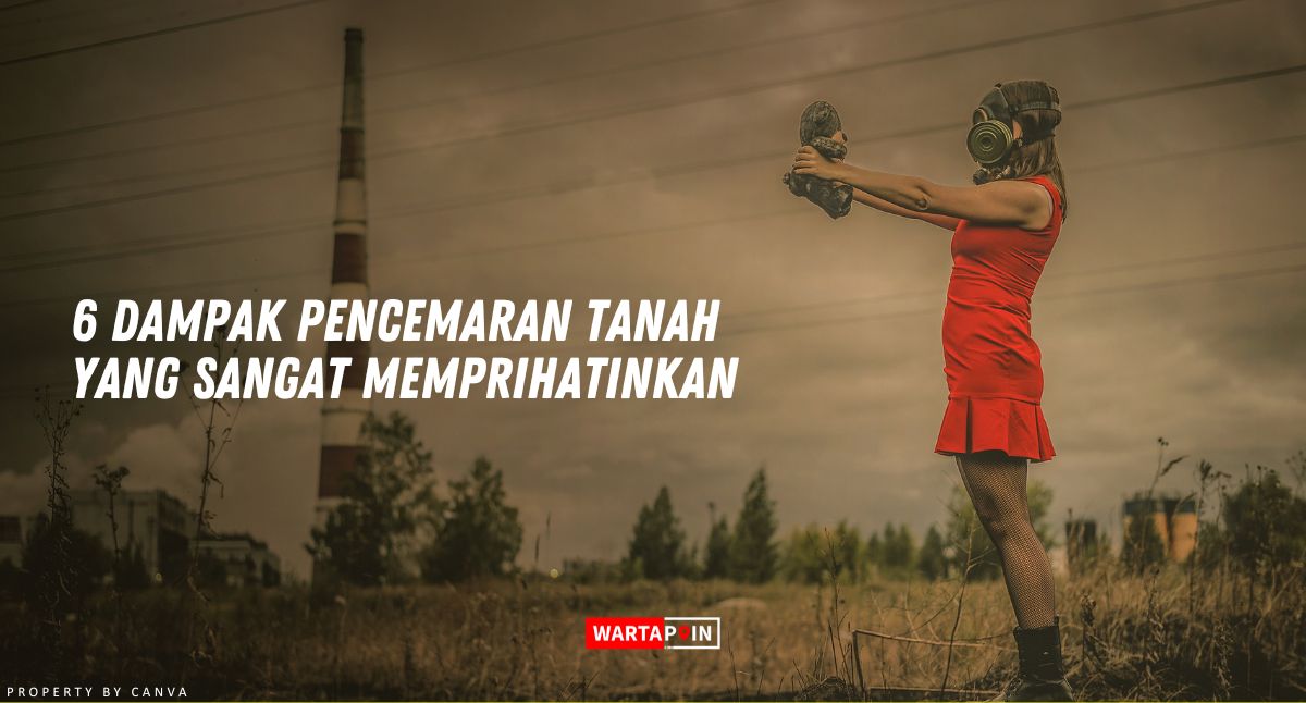 6 Dampak Pencemaran Tanah yang Sangat Memprihatinkan