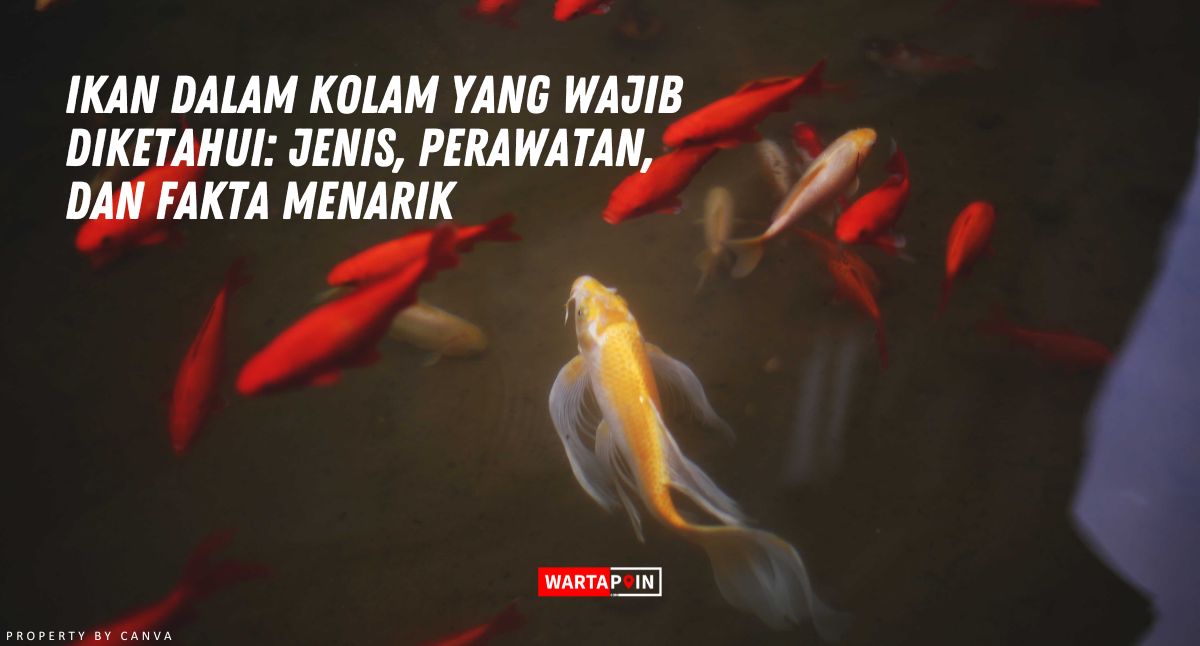 Ikan Dalam Kolam yang Wajib Diketahui: Jenis, Perawatan, dan Fakta Menarik