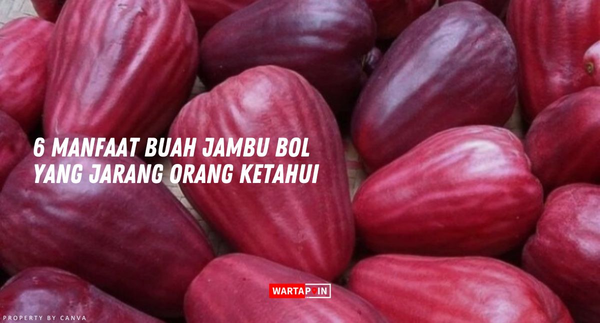 6 Manfaat Buah Jambu Bol yang Jarang Orang Ketahui