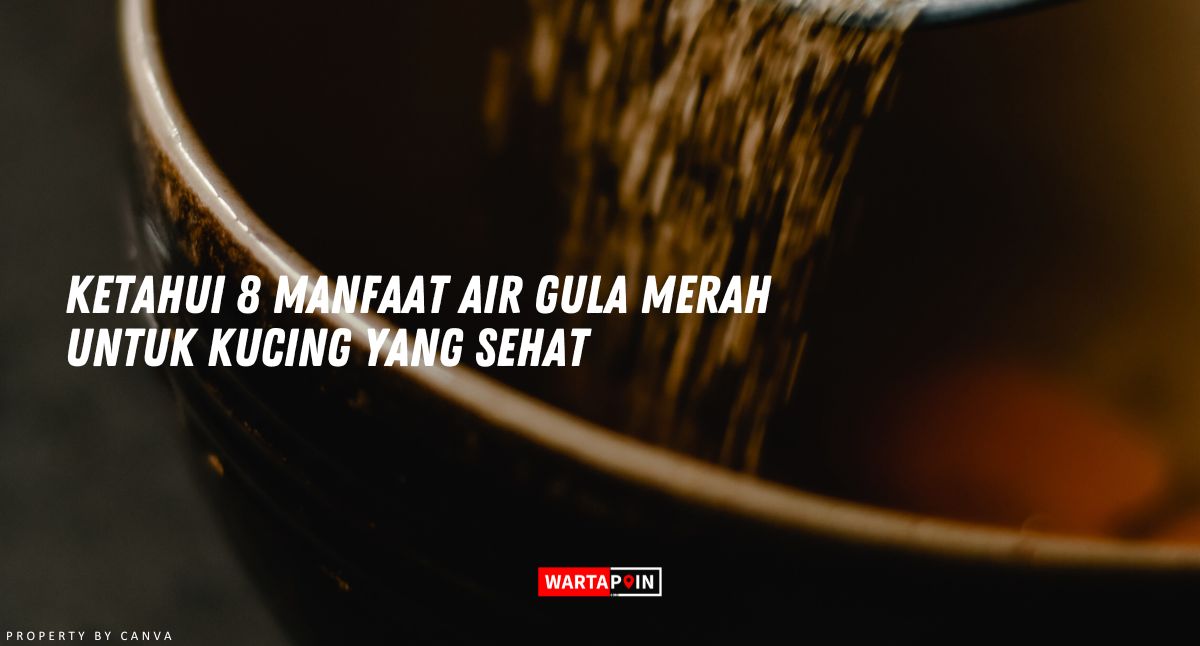 Ketahui 8 Manfaat Air Gula Merah Untuk Kucing yang Sehat