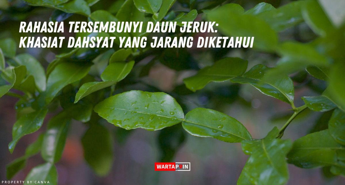 Temukan 7 Rahasia Manfaat Daun Jeruk Hasil Penelitian