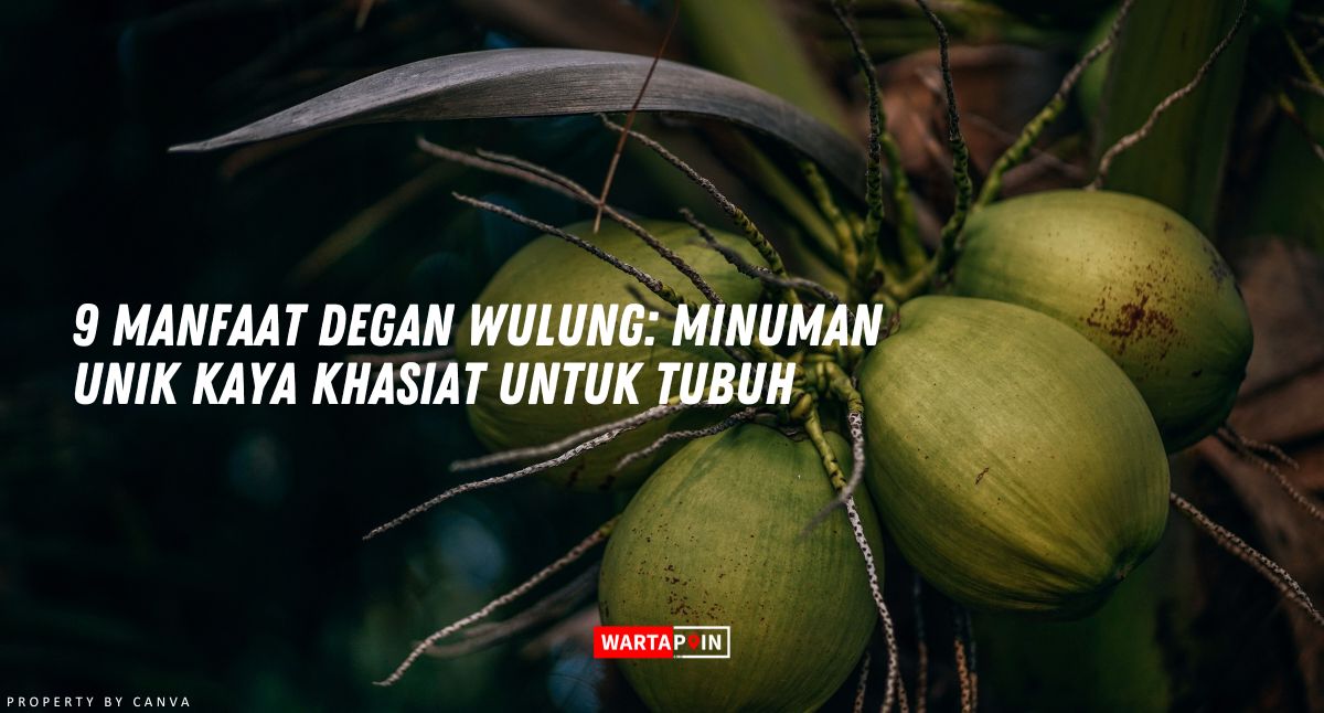 9 Manfaat Degan Wulung: Minuman Unik Kaya Khasiat untuk Tubuh