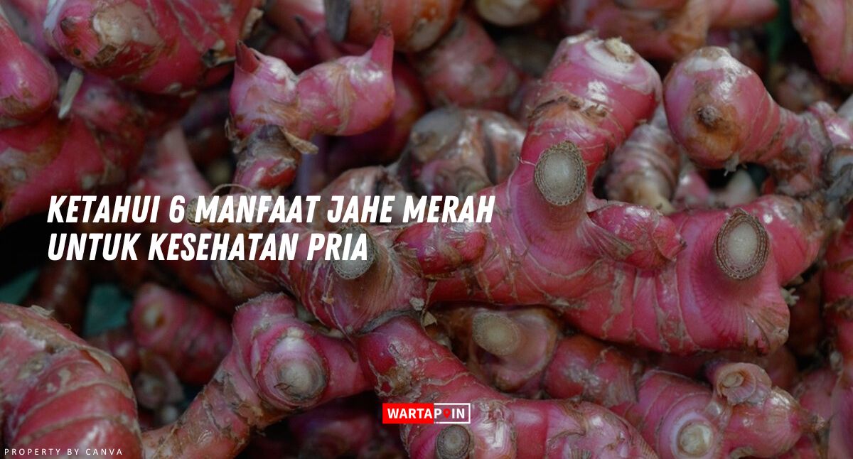 Ketahui 6 Manfaat Jahe Merah untuk Kesehatan Pria