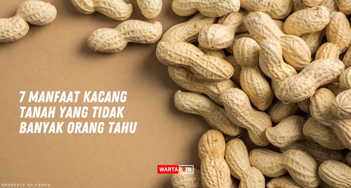 7 Manfaat Kacang Tanah yang Tidak Banyak Orang Tahu