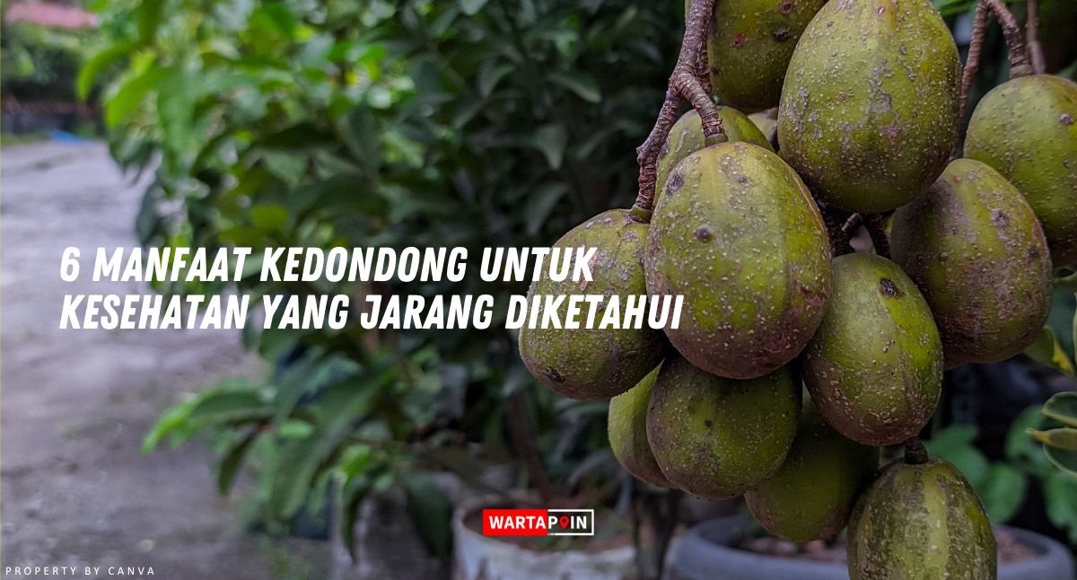 6 Manfaat Kedondong Untuk Kesehatan yang Jarang Diketahui