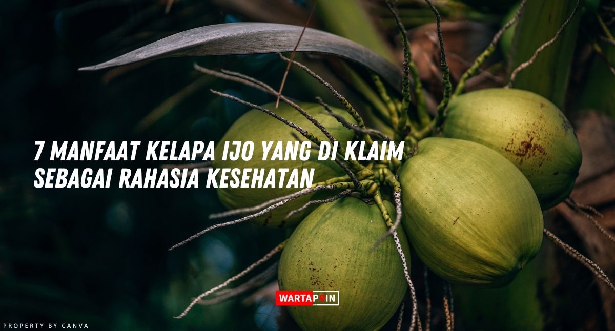 7 Manfaat Kelapa Ijo yang di Klaim Sebagai Rahasia Kesehatan