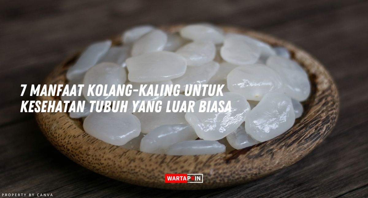 7 Manfaat Kolang Kaling untuk Kesehatan Tubuh yang Luar Biasa