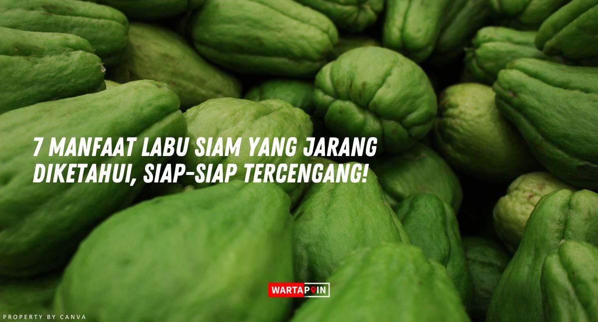 7 Manfaat Labu Siam yang Jarang Diketahui, Siap-siap Tercengang!