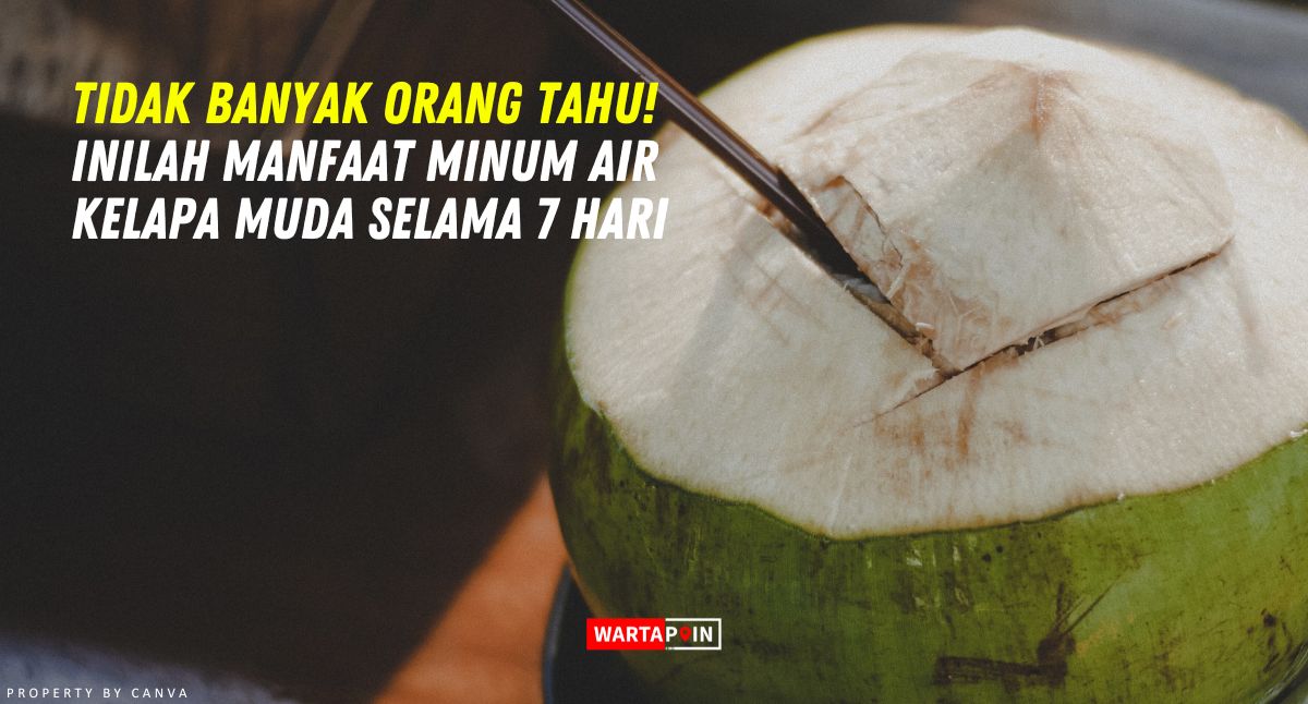 Tidak Banyak Orang Tahu! Inilah Manfaat Minum Air Kelapa Muda Selama 7 Hari