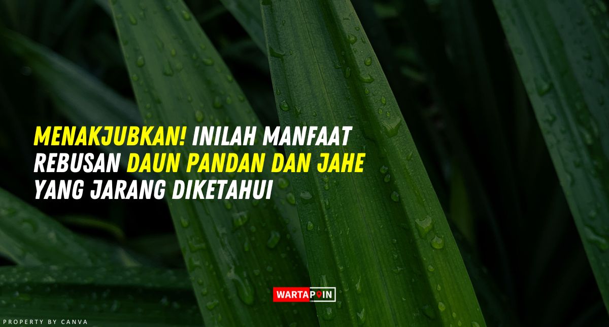 7 Manfaat Rebusan Daun Pandan dan Jahe yang Jarang Diketahui