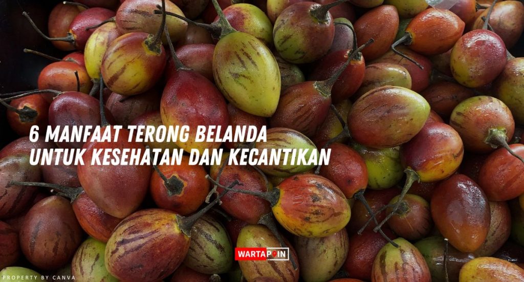 6 Manfaat Terong Belanda untuk Kesehatan dan Kecantikan