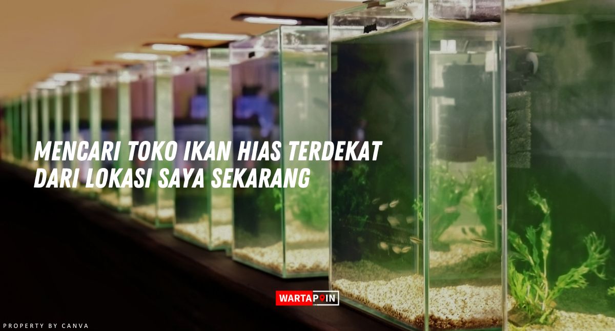 Mencari Toko Ikan Hias Terdekat dari Lokasi Saya Sekarang