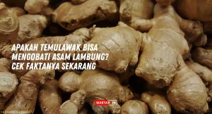 Apakah Temulawak Bisa Mengobati Asam Lambung? Cek Faktanya Sekarang