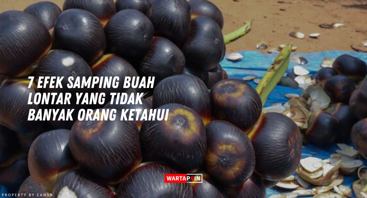 7 Efek Samping Buah Lontar yang Tidak Banyak Orang Ketahui