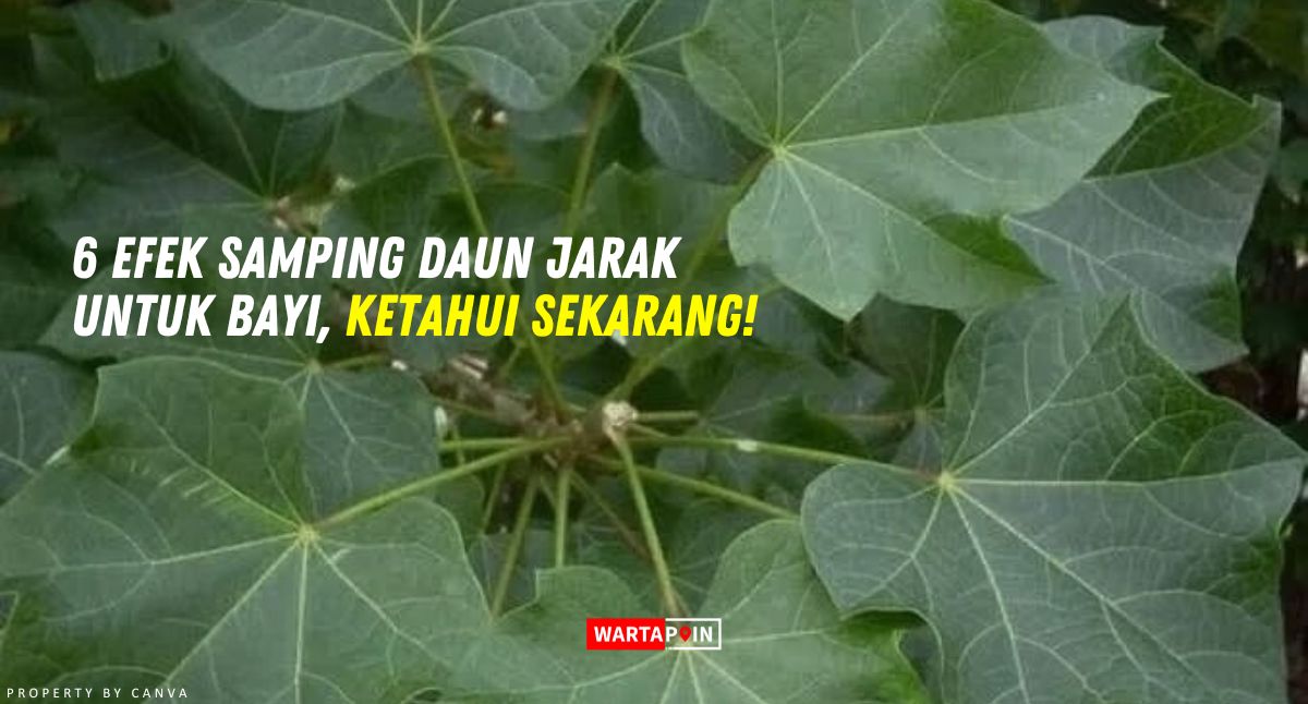 6 Efek Samping Daun Jarak untuk Bayi, Ketahui Sekarang!