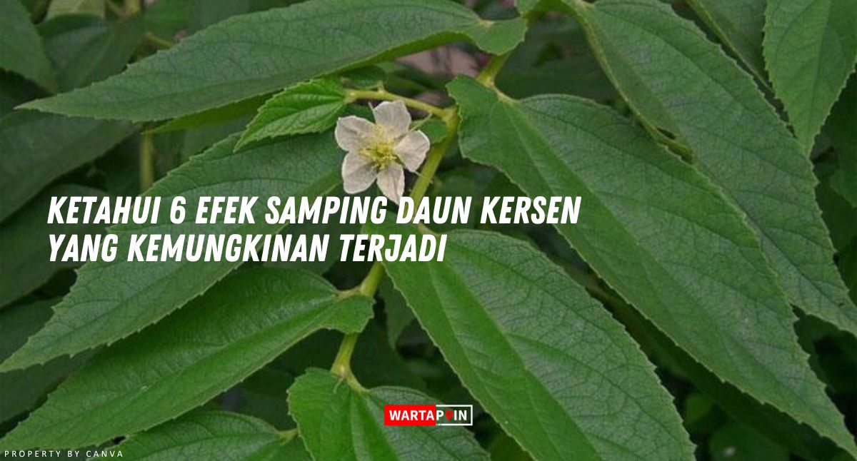 Ketahui 6 Efek Samping Daun Kersen yang Kemungkinan Terjadi