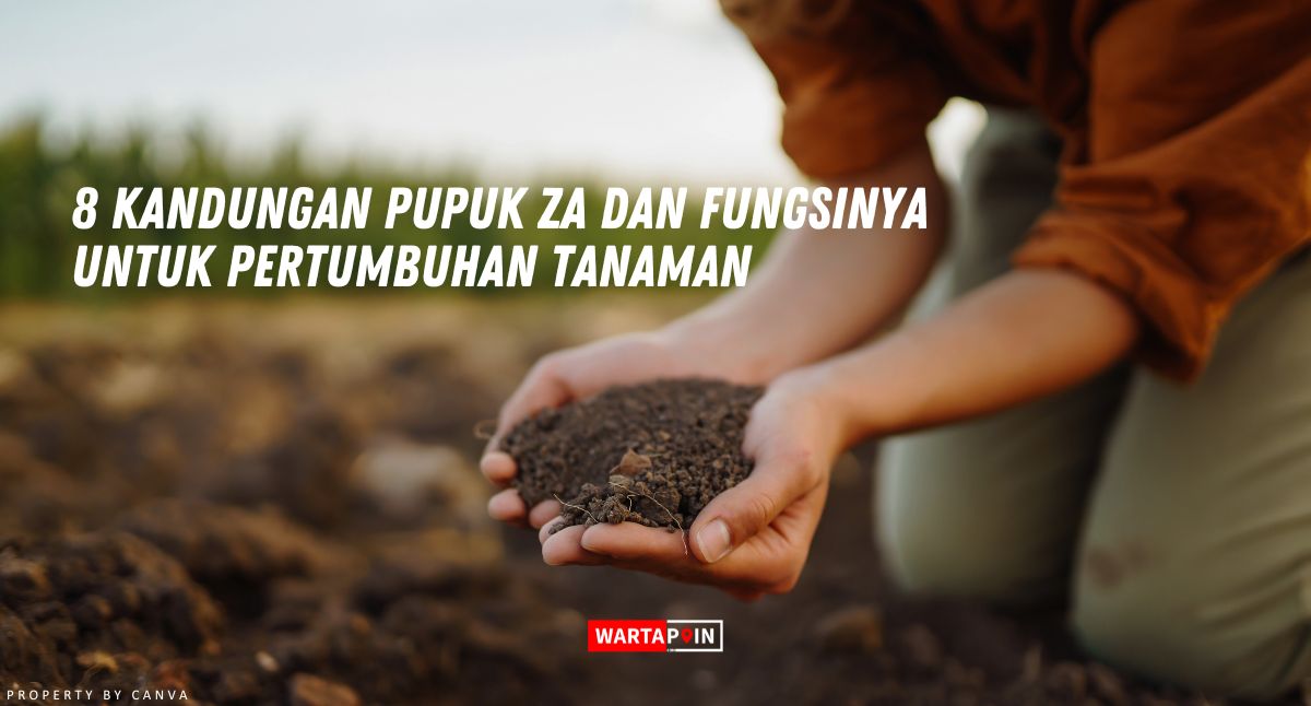 8 Kandungan Pupuk ZA dan Fungsinya Untuk Pertumbuhan Tanaman