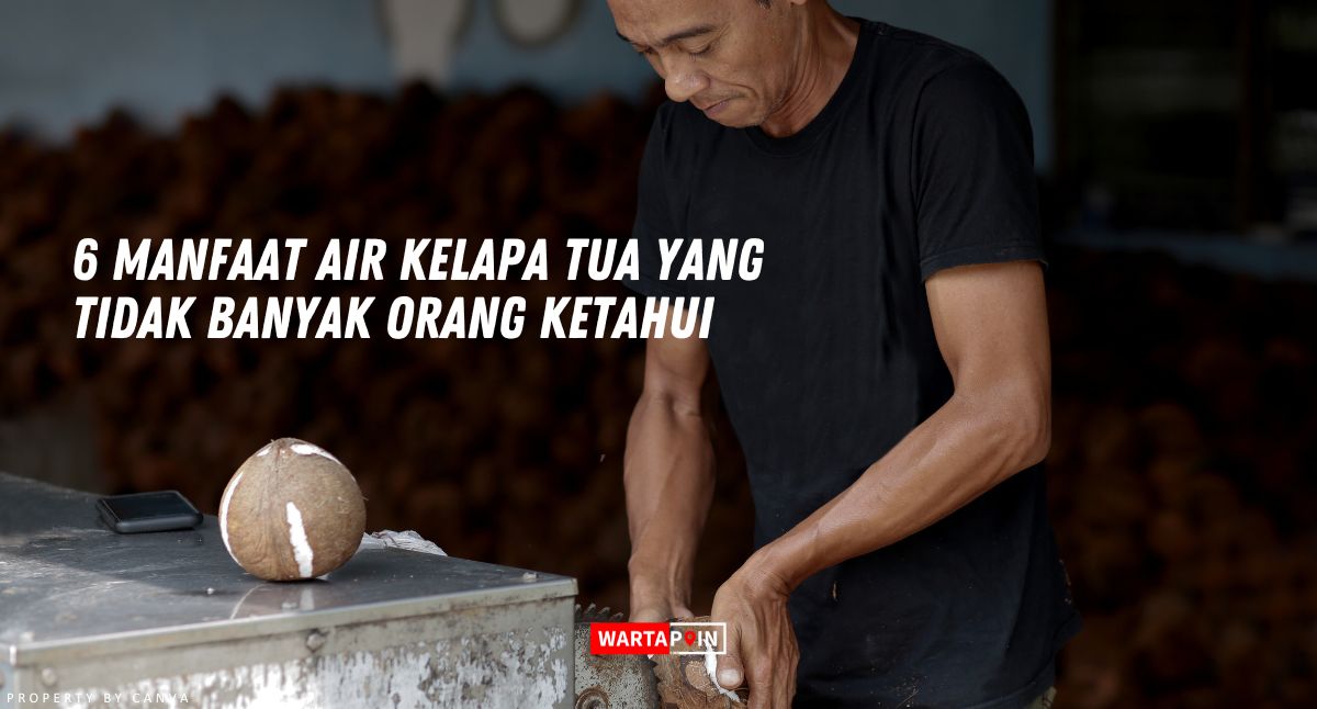 6 Manfaat Air Kelapa Tua yang Tidak Banyak Orang Ketahui