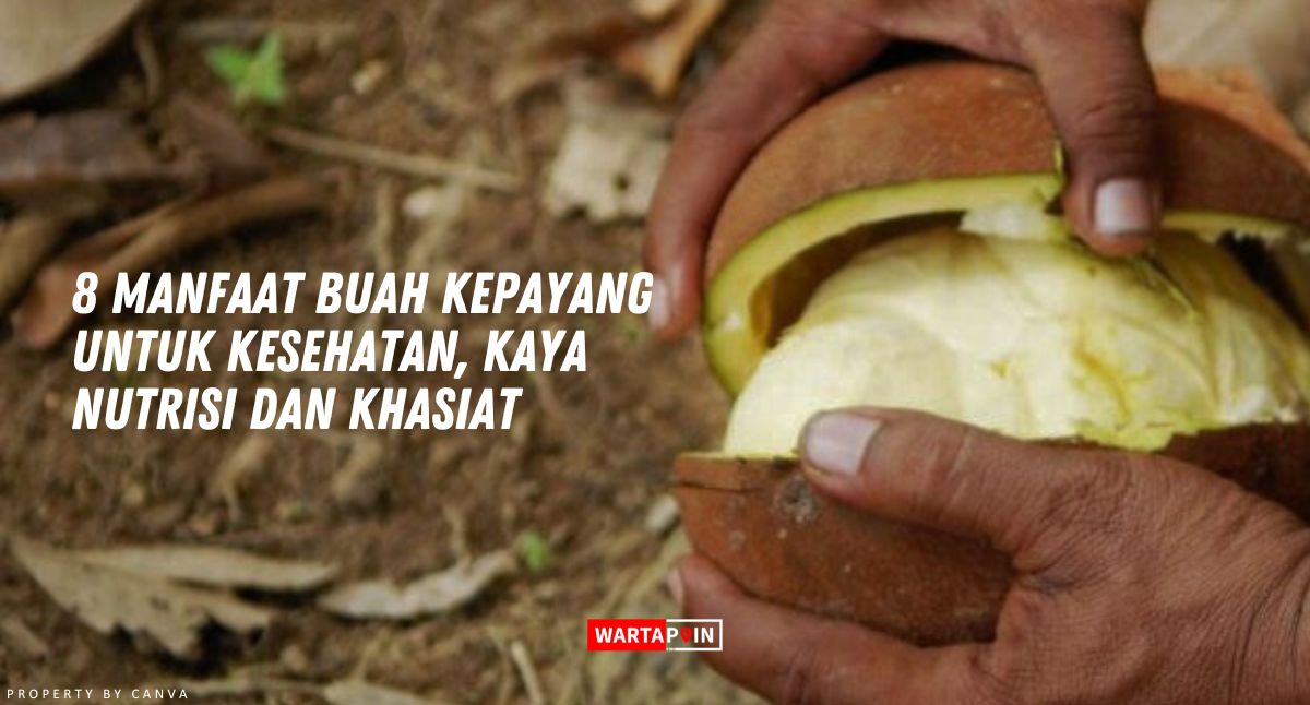 8 Manfaat Buah Kepayang untuk Kesehatan, Kaya Nutrisi dan Khasiat