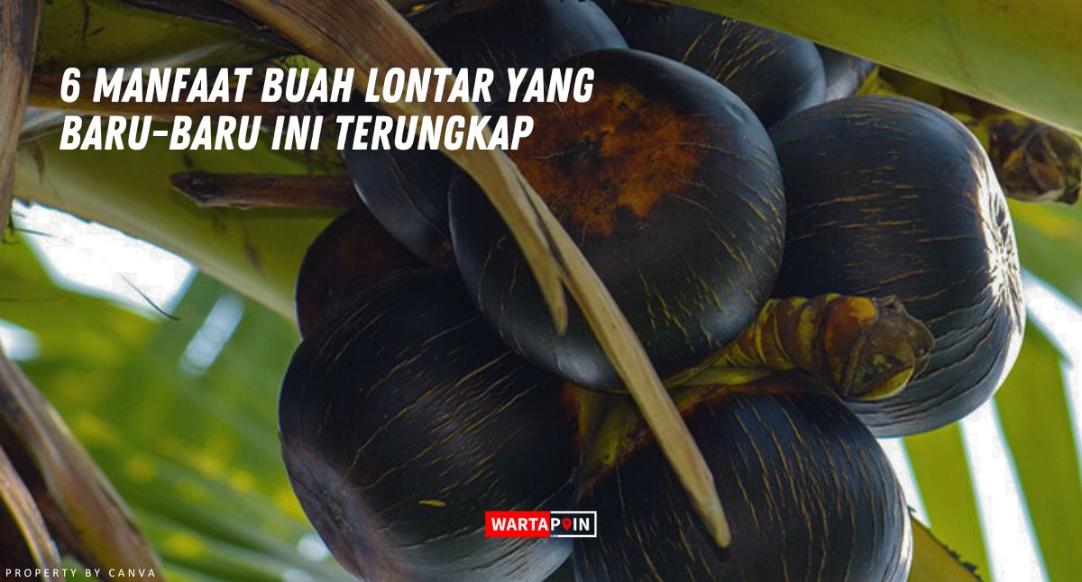 6 Manfaat Buah Lontar yang Baru-baru ini Terungkap