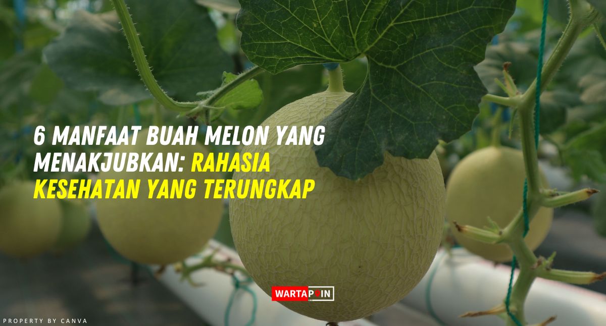 6 Manfaat Buah Melon yang Menakjubkan: Rahasia Kesehatan yang Terungkap