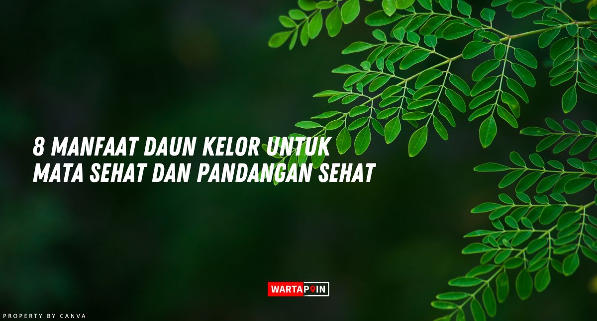 8 Manfaat Daun Kelor untuk Mata Sehat dan Pandangan Sehat