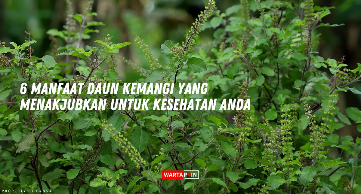 6 Manfaat Daun Kemangi yang Menakjubkan untuk Kesehatan Anda