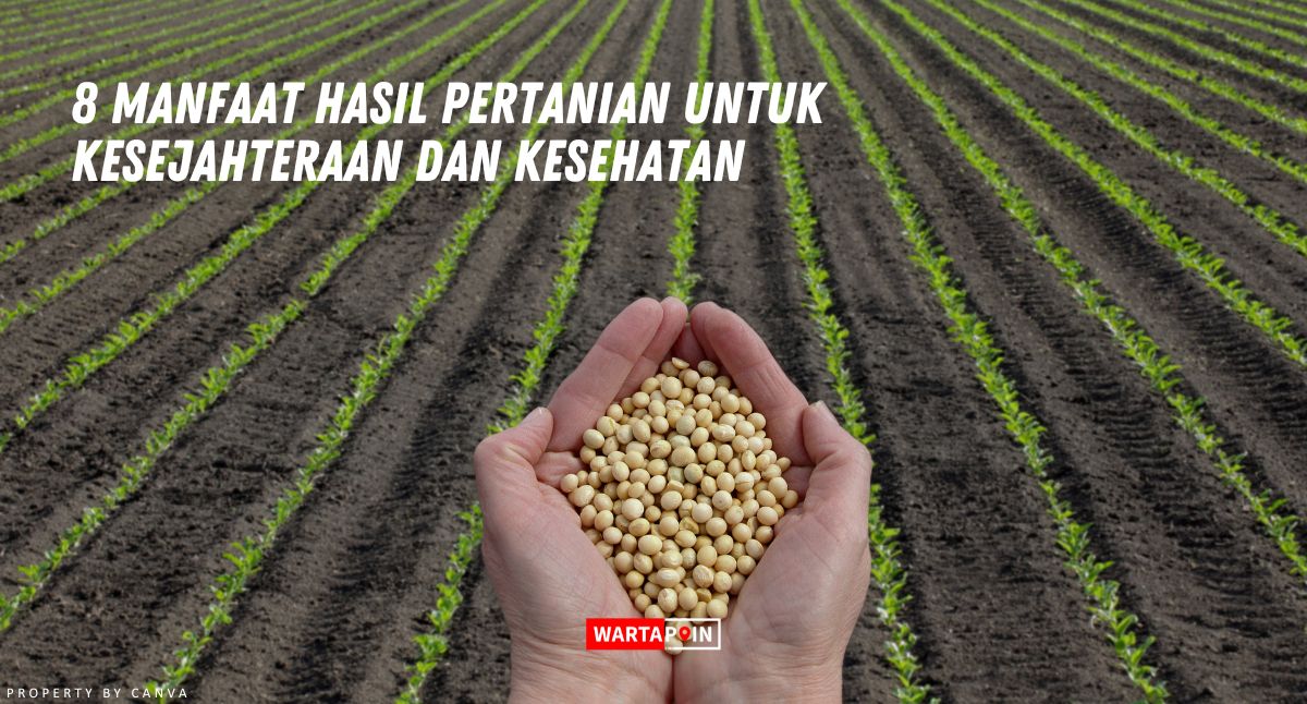 8 Manfaat Hasil Pertanian Untuk Kesejahteraan dan Kesehatan