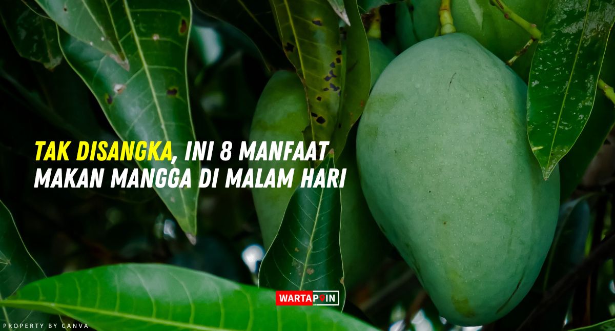 Tak Disangka, Ini 8 Manfaat Makan Mangga di Malam Hari