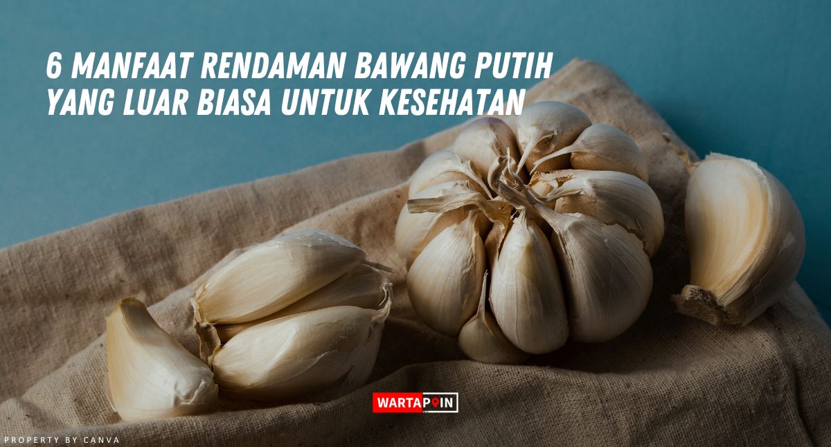 6 Manfaat Rendaman Bawang Putih yang Luar Biasa untuk Kesehatan