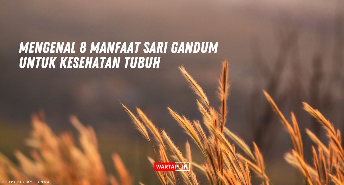 Mengenal 8 Manfaat Sari Gandum untuk Kesehatan Tubuh