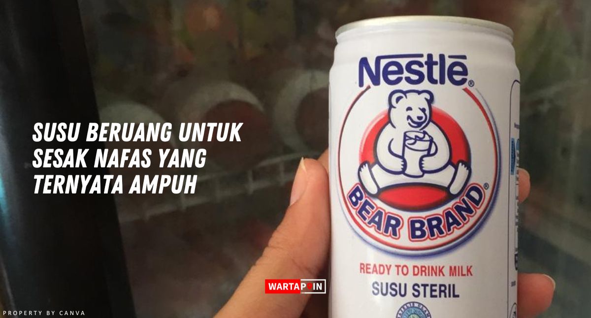 Susu Beruang Untuk Sesak Nafas yang Ternyata Ampuh