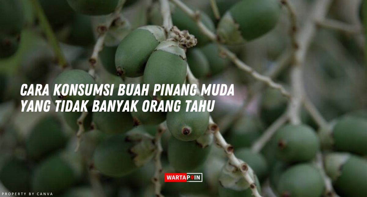 Cara Konsumsi Buah Pinang Muda yang Tidak Banyak Orang Tahu